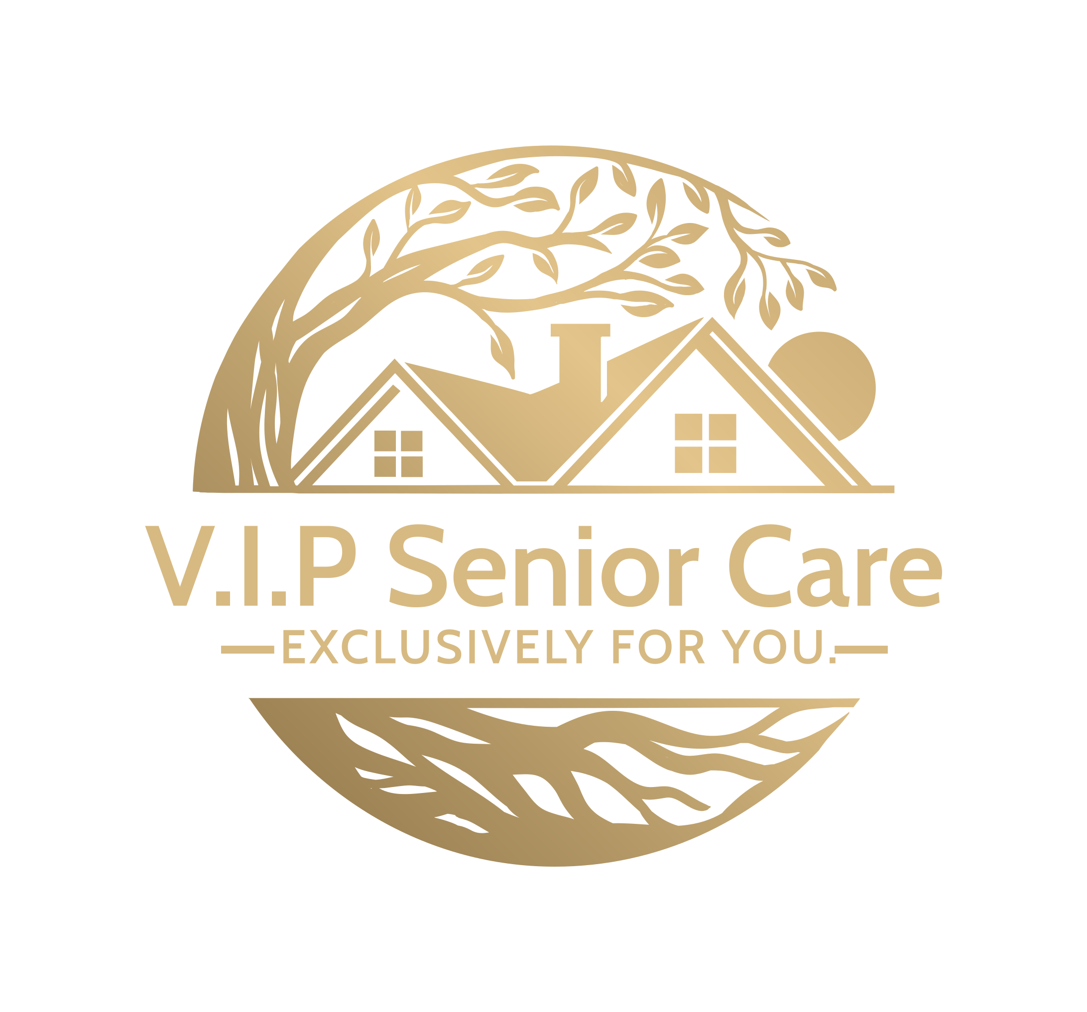 VIP SENIOR CARE